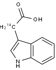 INDOLE-3-ACETIC ACID, [2-14C] Struktur