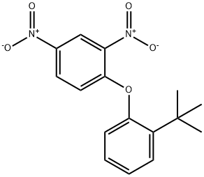 2,4-Dinitrophenyl 2-tert-butylphenyl ether Structure