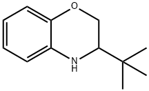 3-(叔丁基)-3,4-二氢-2H-1,4-苯并恶嗪 结构式
