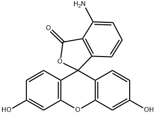 4-aminofluorescein Structure
