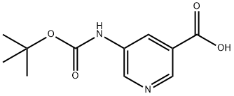 5-TERT-BUTOXYCARBONYLAMINO-PYRIDINE-3-CARBOXYLIC ACID Structure