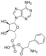phenylalanyl adenylate|
