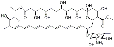 アンホテリシンBメチルエステ 化学構造式