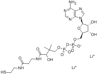 アデノシン5′-二りん酸P2-[2,2-ジメチル-3-ヒドロキシ-4-オキソ-4-[[3-[(2-メルカプトエチル)アミノ]-3-オキソプロピル]アミノ]ブチル] 化学構造式