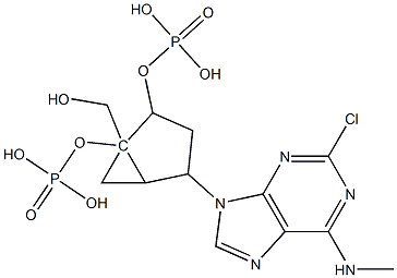 MRS 2279 Structure