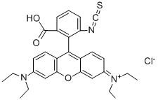 罗丹明B异硫氰酸酯, 36877-69-7, 结构式