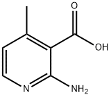 2-氨基-4-甲基吡啶-3-甲酸 结构式