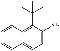1-tert-ブチルナフタレン-2-アミン 化学構造式