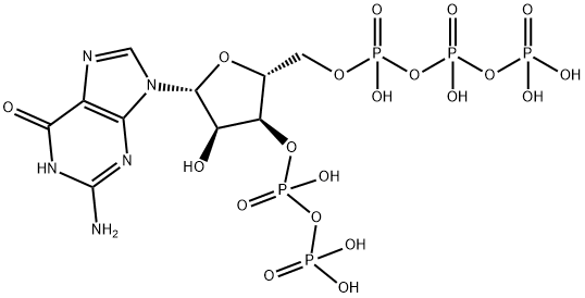 Guanosine Pentaphosphate Struktur