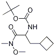 [1-(CyclobutylMethyl)-2-(MethoxyMethylaMino)-2-oxoethyl]-carbaMic Acid 1,1-DiMethylethyl Ester Structure