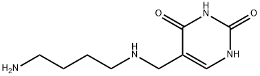alpha-putrescinylthymine Struktur