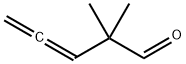 2,2-ジメチル-3,4-ペンタジエナール 化学構造式