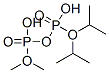 二りん酸P1,P1-ジメチルP2,P2-ビス(1-メチルエチル) 化学構造式