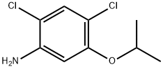 2,4-二氯-5-异丙氧基苯胺 结构式