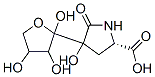 4-Hydroxy-5-oxo-4-(tetrahydro-2,3,4-trihydroxyfuran-2-yl)-L-proline 结构式