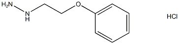 1-(2-phenoxyethyl)hydrazine Structure