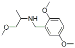 (2,5-DIMETHOXY-BENZYL)-(2-METHOXY-1-METHYL-ETHYL)-AMINE Structure