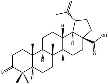 白桦脂酮酸 结构式