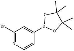 2-溴吡啶-4-硼酸频哪酯 结构式