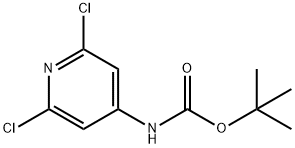 N-BOC-4-氨基-2,6-二氯吡啶	, 501907-61-5, 结构式