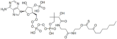 S-[2-[3-[[4-[[[(2R,3S,4R,5R)-5-(6-aminopurin-9-yl)-4-hydroxy-3-phosphonooxyoxolan-2-yl]methoxy-hydroxyphosphoryl]oxy-hydroxyphosphoryl]oxy-2-hydroxy-3,3-dimethylbutanoyl]amino]propanoylamino]ethyl] 3-oxodecanethioate Structure