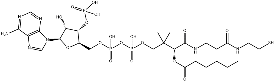 [(2R,3R,4R,5R)-5-(6-aminopurin-9-yl)-2-[[[[3-[2-(2-hexanoylsulfanylethylcarbamoyl)ethylcarbamoyl]-3-hydroxy-2,2-dimethyl-propoxy]-hydroxy-phosphoryl]oxy-hydroxy-phosphoryl]oxymethyl]-4-hydroxy-oxolan-3-yl]oxyphosphonic acid 结构式