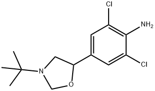 2,6-二氯-4-[3-(1,1-二甲基乙基)-5-噁唑烷基]苯胺 结构式