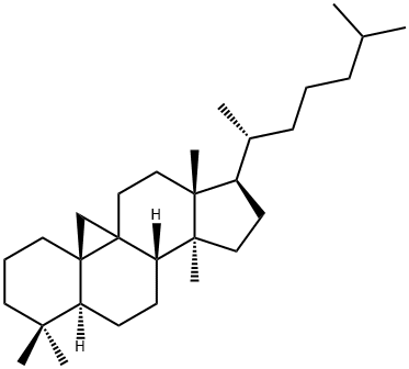 CYCLOARTANE, 511-64-8, 结构式