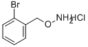 1-[(アンモニオオキシ)メチル]-2-ブロモベンゼンクロリド 化学構造式