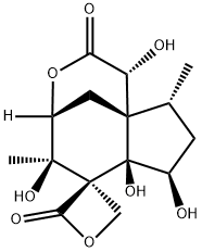 (1R,6S)-4,5,6a,7,8,9,9a-ヘプタヒドロ-1,5α,6aα,7α-テトラヒドロキシ-5,9β-ジメチルスピロ[6H-4α,9aα-メタノシクロペンタ[d]オキソシン-6,3'-オキセタン]-2,2'(1H)-ジオン 化学構造式