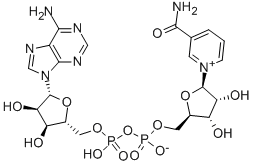 烟酰胺腺嘌呤二核苷酸, 53-84-9, 结构式
