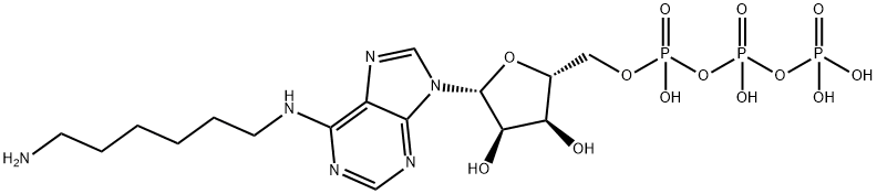 N(6)-aminohexyladenosine triphosphate Struktur