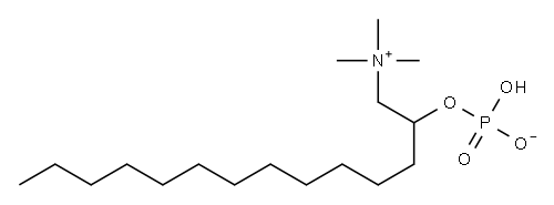 dodecylphosphocholine Struktur