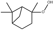 ２，６，６トリメチルビシクロ［３．１．１］ヘプタ２イル＝ヒドロペルオキシド 化学構造式
