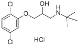 1-(2,5-ジクロロフェノキシ)-3-[(1,1-ジメチルエチル)アミノ]-2-プロパノール·塩酸塩 化学構造式