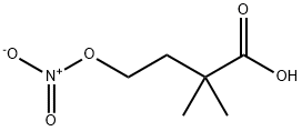 2,2-dimethyl-4-nitrooxy-butanoic acid Structure