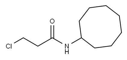 3-chloro-N-cyclooctylpropanamide Structure