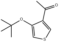 メチル(4-tert-ブトキシ-3-チエニル)ケトン 化学構造式