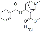 8-Azabicyclo[3.2.1]octane-2-carboxylic acid, 3-(benzoyloxy)-8-methyl-, methyl ester, hydrochloride, (exo,exo)-(+-)- Structure