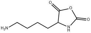 4-(4-アミノブチル)オキサゾリジン-2,5-ジオン 化学構造式