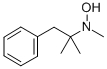 N-メチル-N-(1,1-ジメチル-2-フェニルエチル)ヒドロキシルアミン 化学構造式