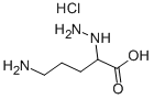 5-AMINO-2-HYDRAZINOPENTANOIC ACID HYDROCHLORIDE Struktur