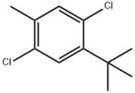 4-tert-ブチル-2,5-ジクロロトルエン 化学構造式