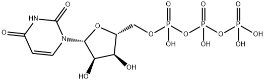 ウリジン三リン酸 化学構造式