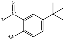 4-(1,1-ジメチルエチル)-2-ニトロベンゼンアミン 化学構造式