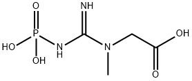 Creatine phosphate Struktur