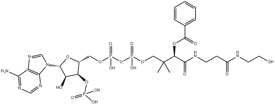 アデノシン3'-りん酸5'-[二りん酸P2-[2,2-ジメチル-3-ヒドロキシ-3-[[2-[[2-(ベンゾイルチオ)エチル]アミノカルボニル]エチル]アミノカルボニル]プロピル]] 化学構造式