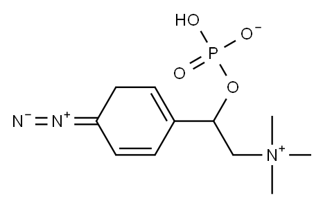 4-diazophenylphosphocholine 结构式
