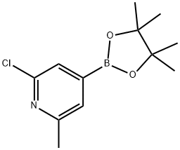 2-クロロ-6-メチルピリジン-4-ボロン酸ピナコールエステル 化学構造式