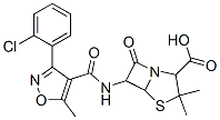 Cloxacillin Iv Administration